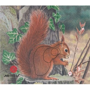 JVD BLASON ANIMALIER ECUREUIL