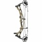 ARC A POULIES HOYT RX-10 ARC A POULIES HOYT RX-10