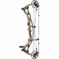 ARC A POULIES HOYT RX-10 ARC A POULIES HOYT RX-10