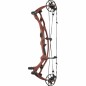ARC A POULIES HOYT RX-10 ULTRA ARC A POULIES HOYT RX-10 ULTRA
